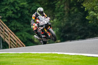 anglesey;brands-hatch;cadwell-park;croft;donington-park;enduro-digital-images;event-digital-images;eventdigitalimages;mallory;no-limits;oulton-park;peter-wileman-photography;racing-digital-images;silverstone;snetterton;trackday-digital-images;trackday-photos;vmcc-banbury-run;welsh-2-day-enduro